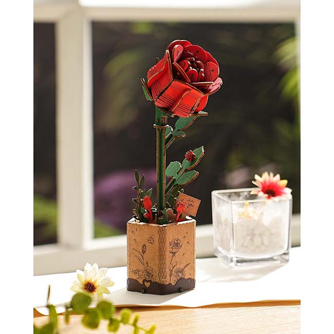 Red Rose