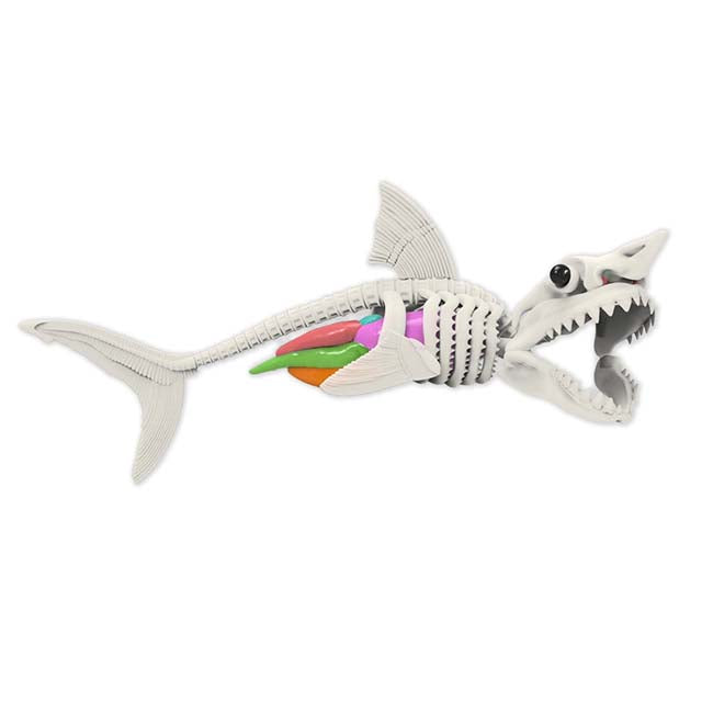 Dissect IT Shark Lab Sup
