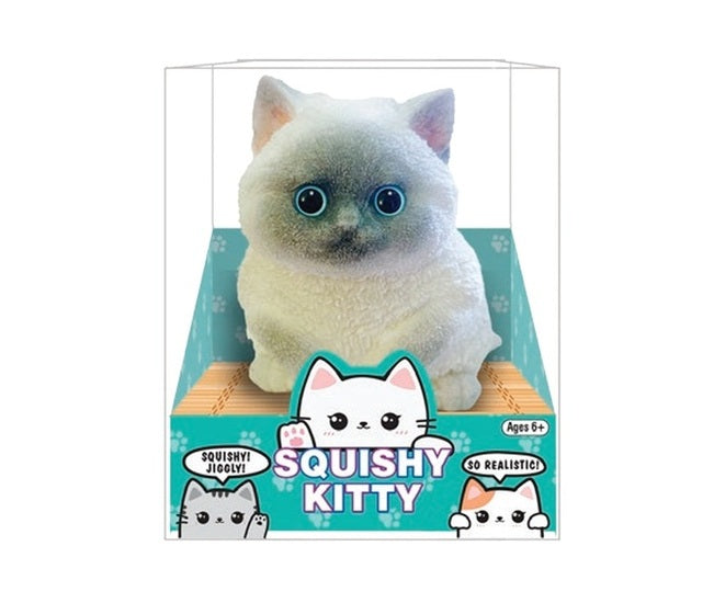 Medium Cat