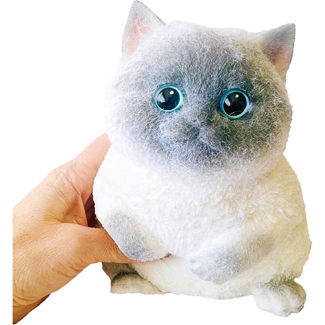 Medium Cat