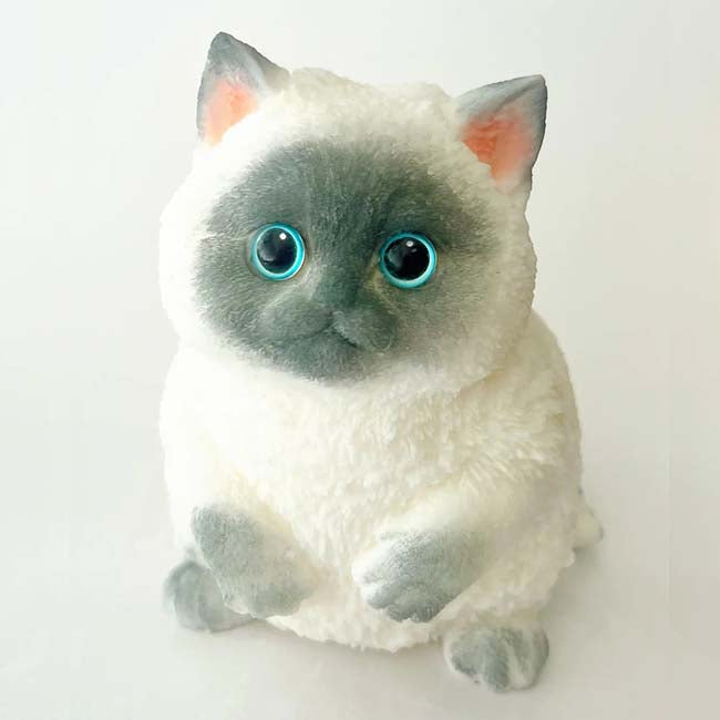 Medium Cat