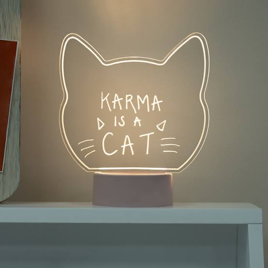 Light Up Acrylic Sign- Cat