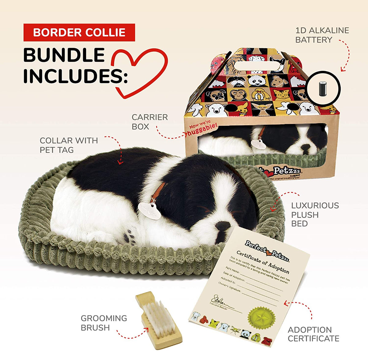 Border Collie