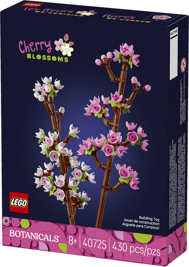 Cherry Blossoms-1
