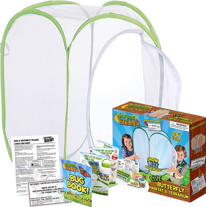 Butterfly Habitat & Terrarium-1