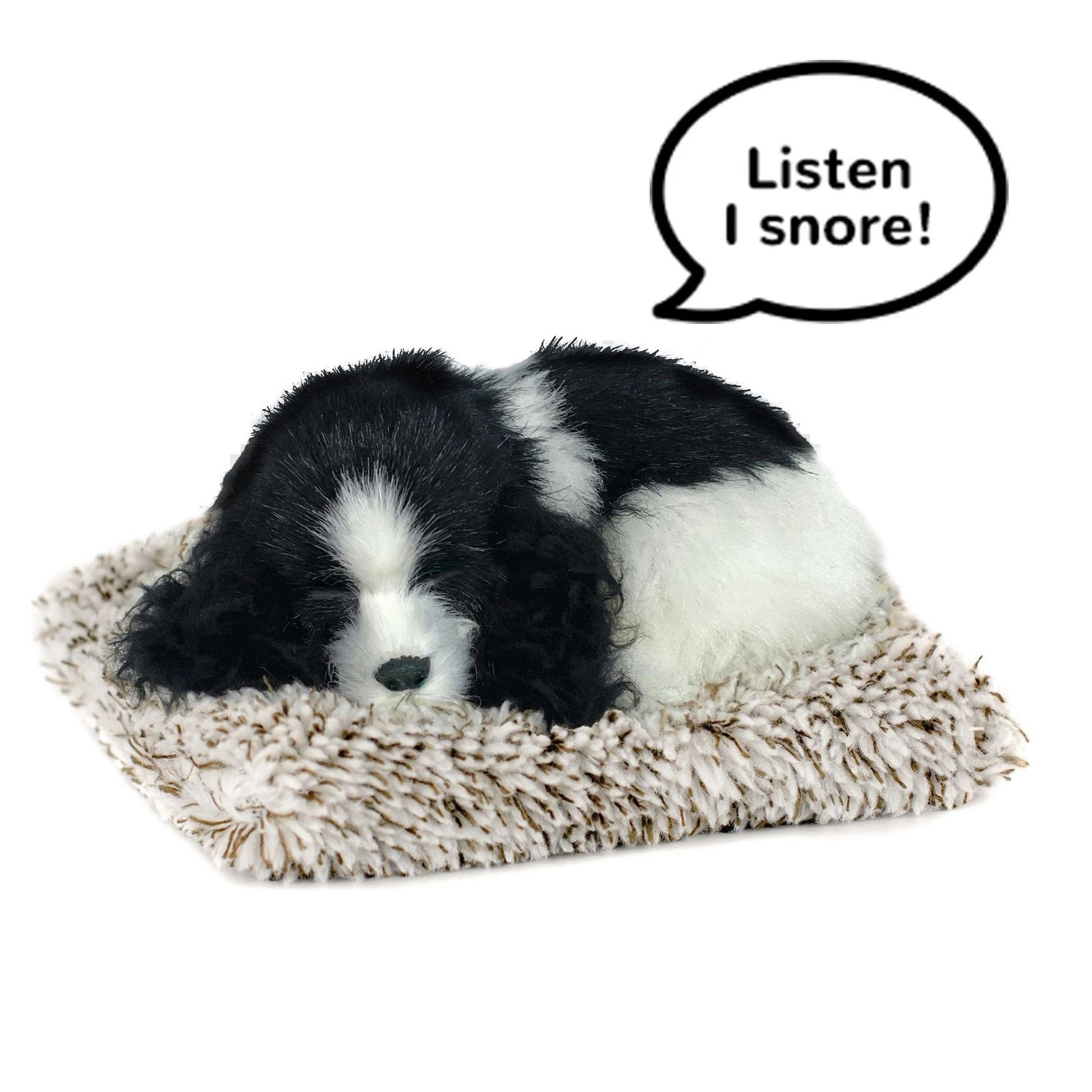 Mini Cocker Spaniel