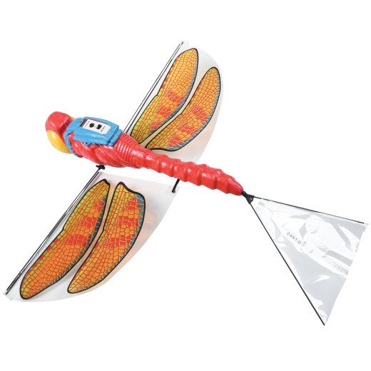 Dragonfli